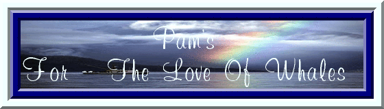 Pam's Banner